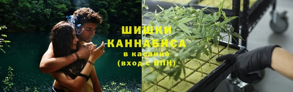 трава Балахна