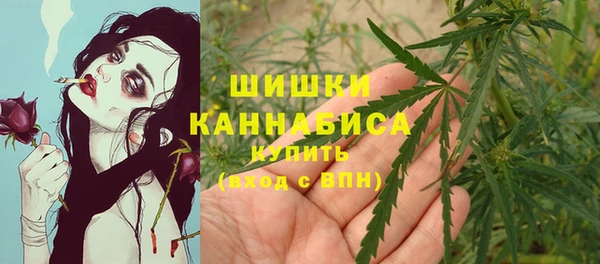 трава Балахна