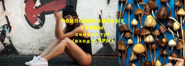 трава Балахна