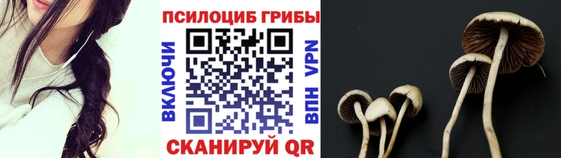 Галлюциногенные грибы прущие грибы  Советская Гавань 